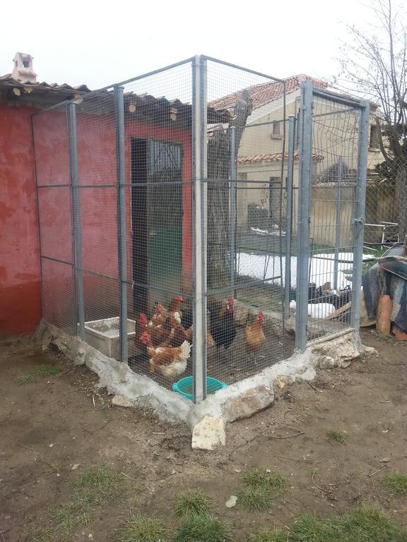 El Refugio Del Dragon Hostel Arcones Εξωτερικό φωτογραφία